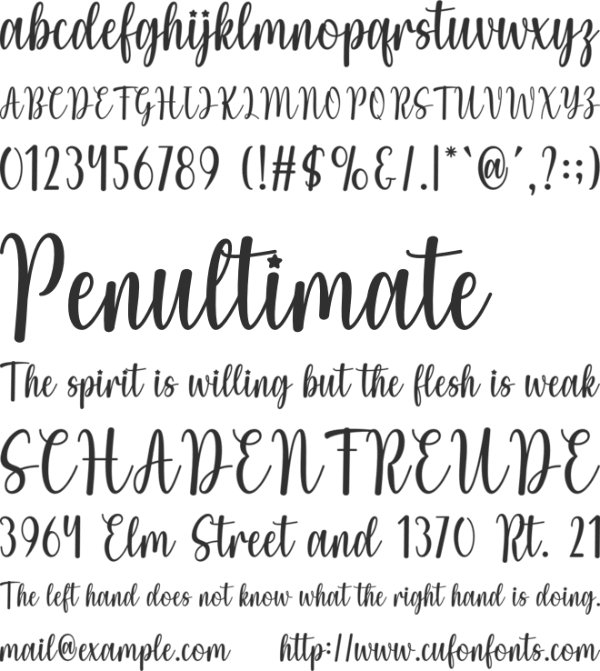 Winter Cruise font preview