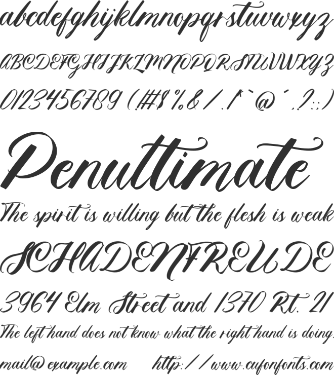 Doctor Levi font preview