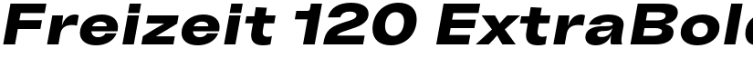 Freizeit 120 ExtraBold Slanted font