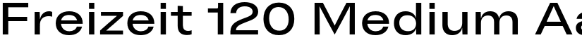 Freizeit 120 Medium font