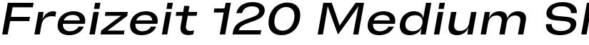 Freizeit 120 Medium Slanted font