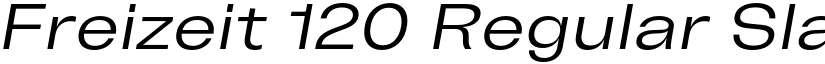 Freizeit 120 Regular Slanted font