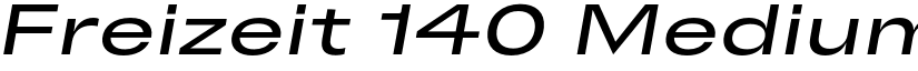 Freizeit 140 Medium Slanted font