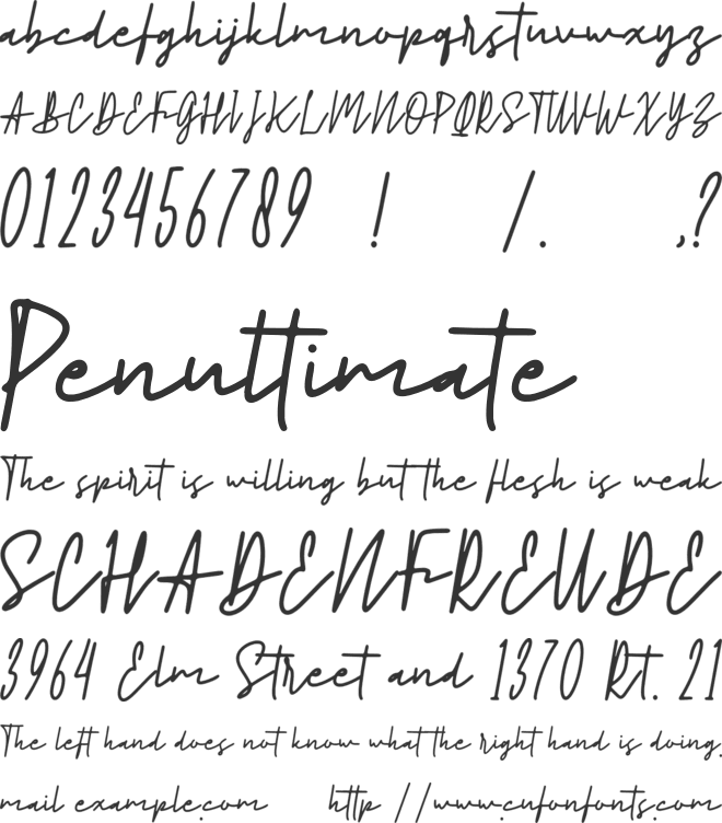 Slankie font preview
