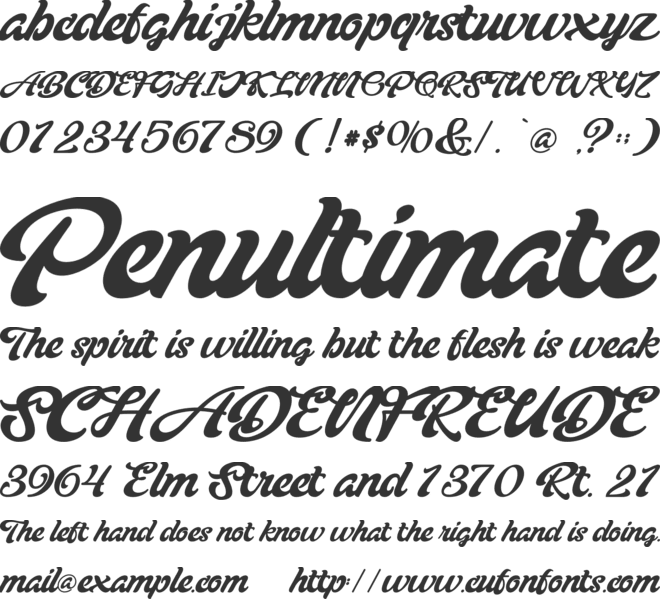 Blacker Script-Personal use font preview