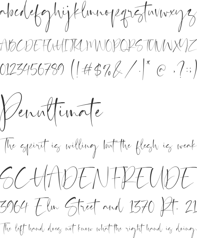 Barriton Paradise font preview