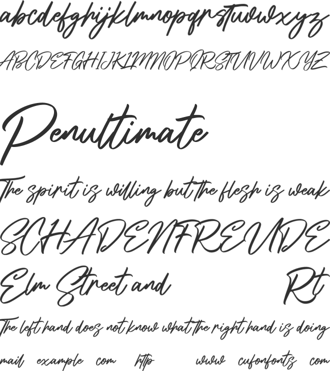 Shadyspeed Free font preview