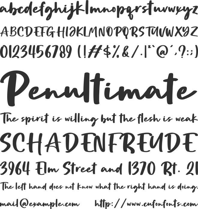 The Signage font preview