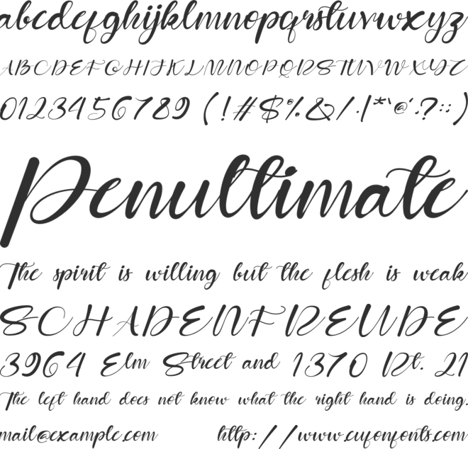 Your Month font preview
