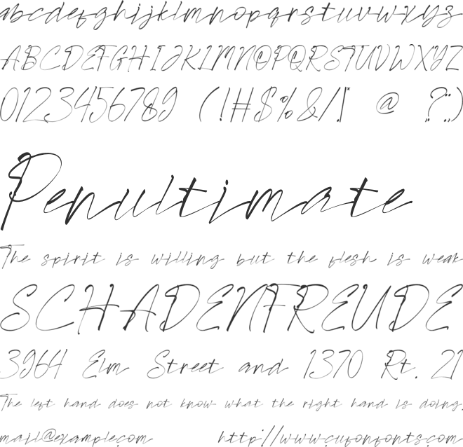 Brook Holmes font preview