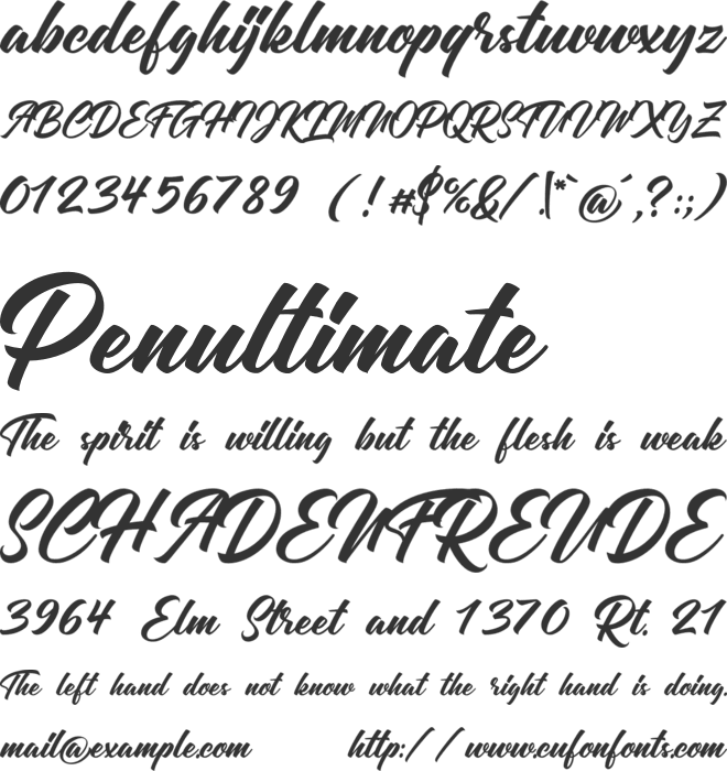 Washline font preview