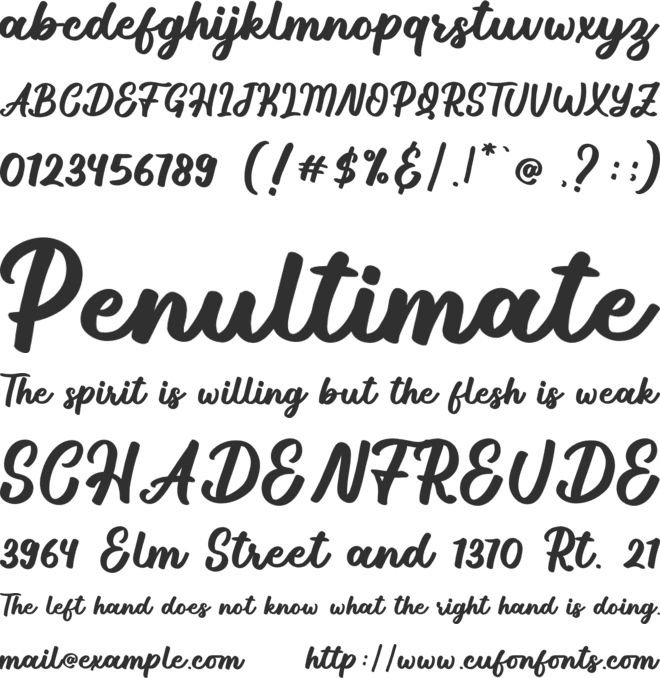 Roasted Chicken font preview