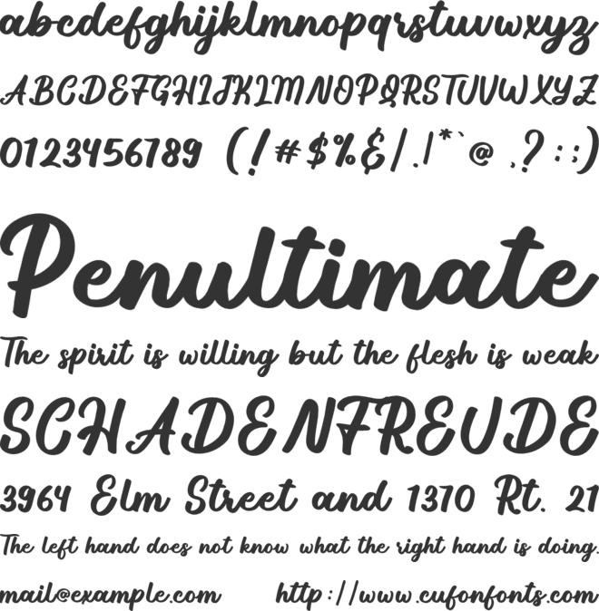 Roasted Chicken font preview