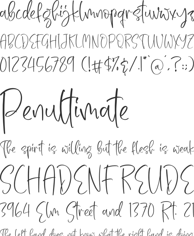 Nichollas Caffee font preview