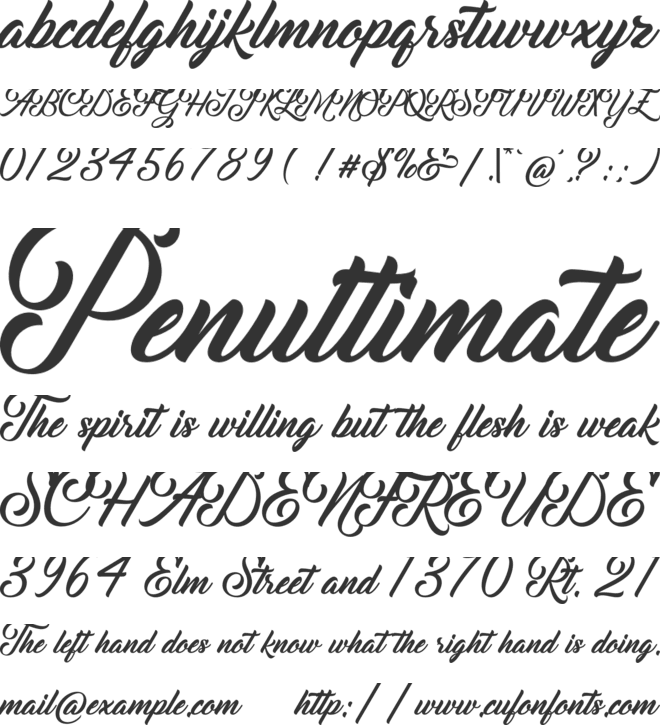 Unique font preview