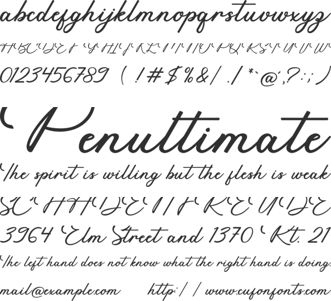 Rapidly font preview