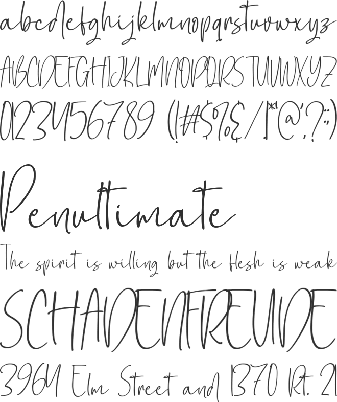Secondwhy font preview