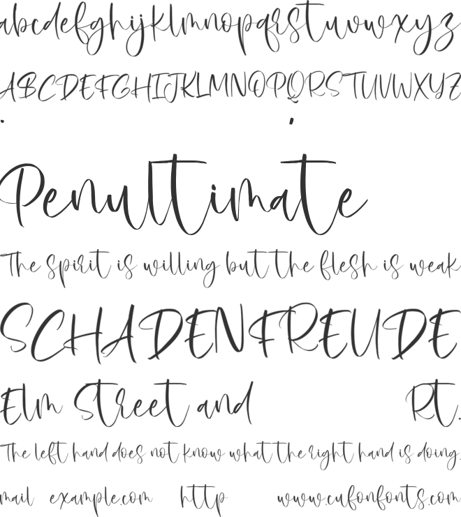 Risabie font preview