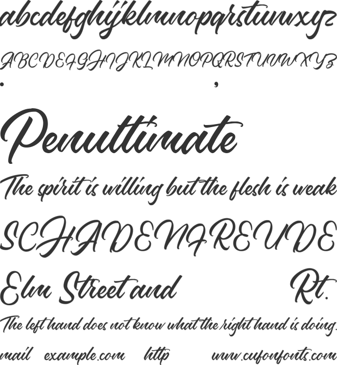 Palmaire font preview