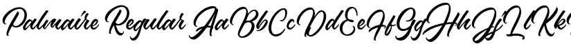 Palmaire font download