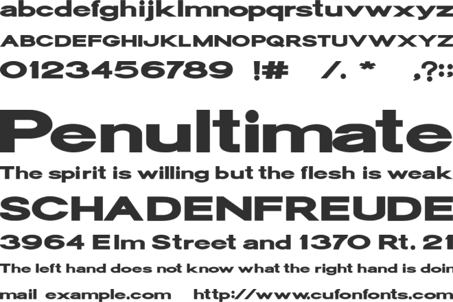 Oscan Expanded - Display Sans Serif Font font preview