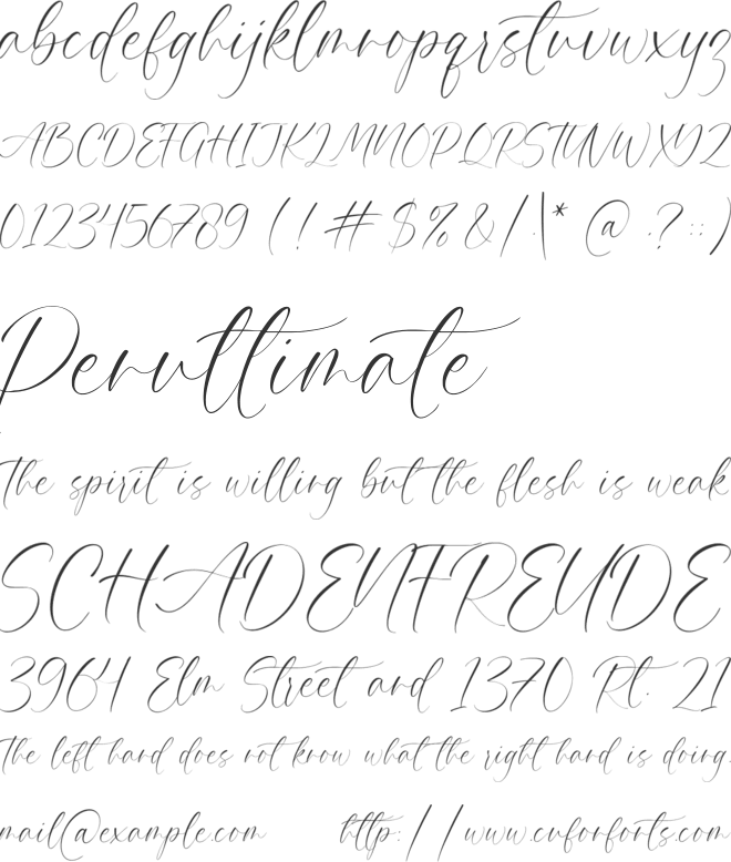 Palmera Emilia font preview