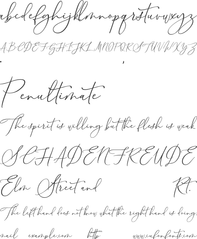 Feminine font preview