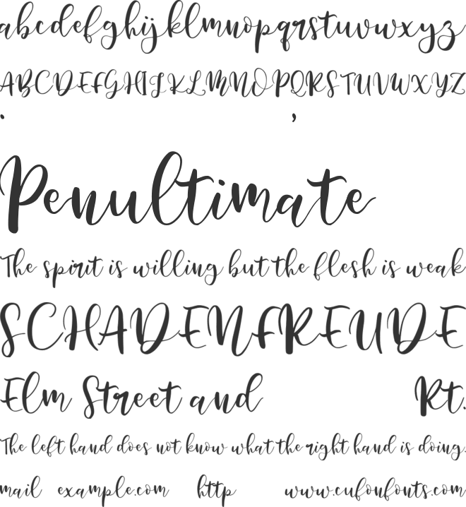 Nicholle font preview