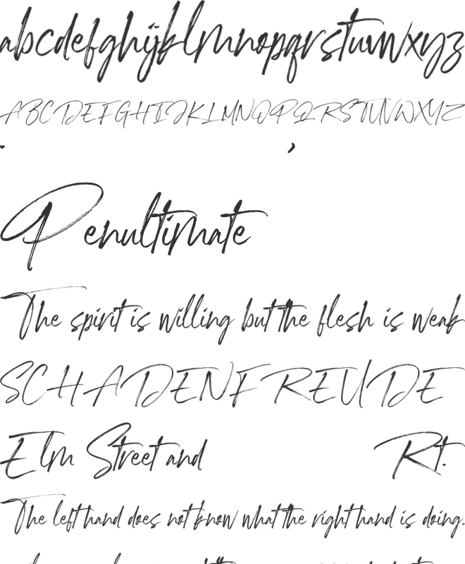 Jasmine Script font preview