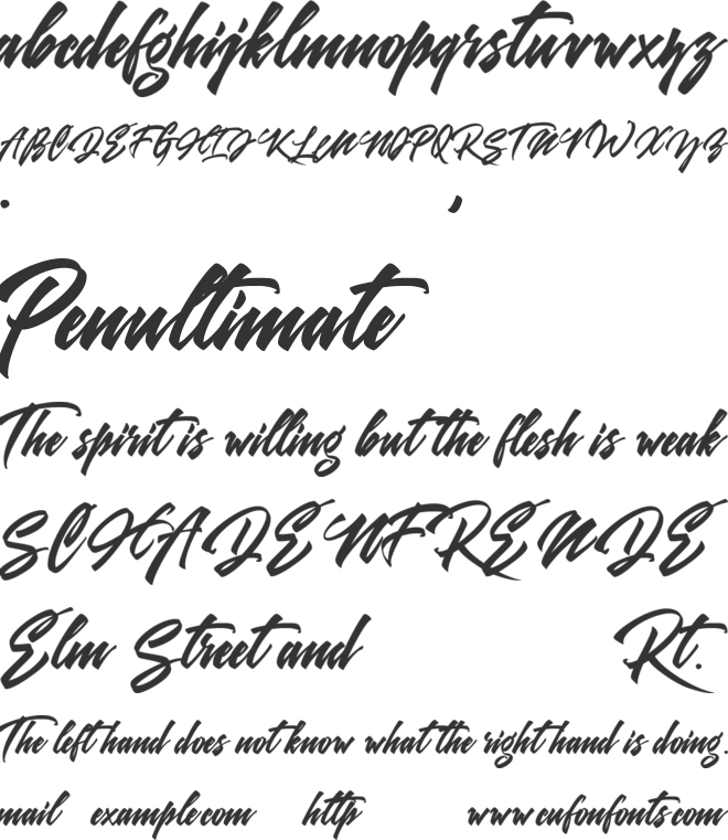 Delgaroid font preview