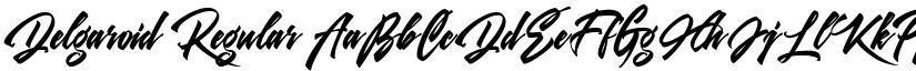 Delgaroid font download