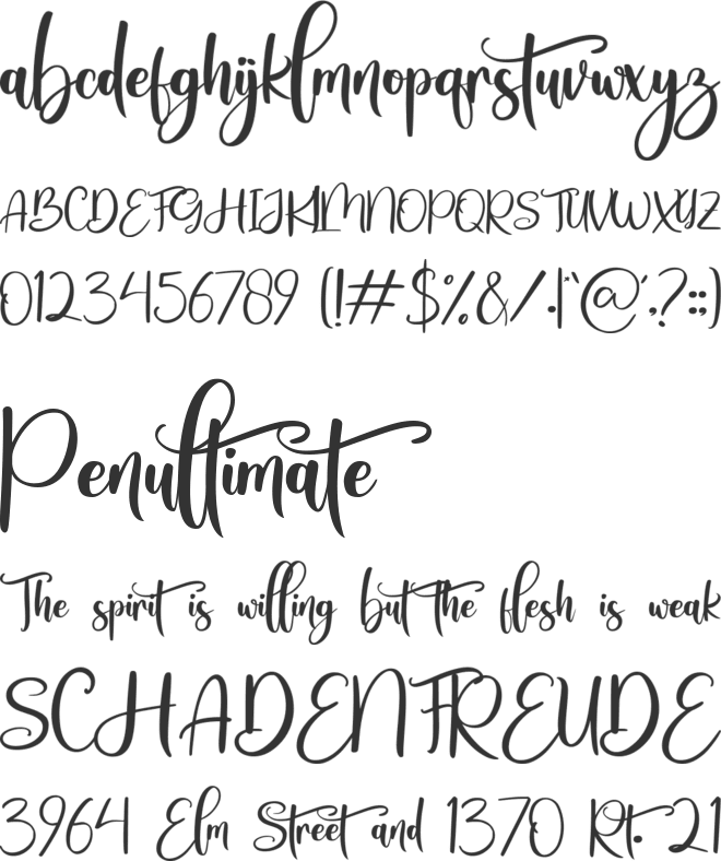 Snowtimes font preview