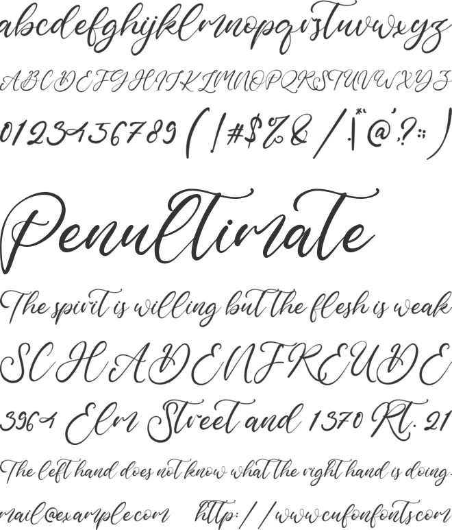 Maple Forest font preview