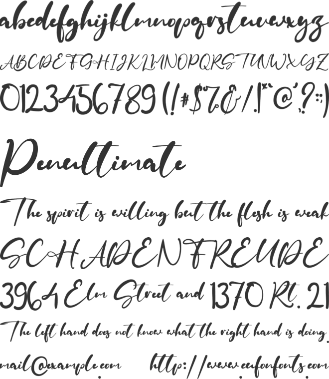 Wallaby font preview