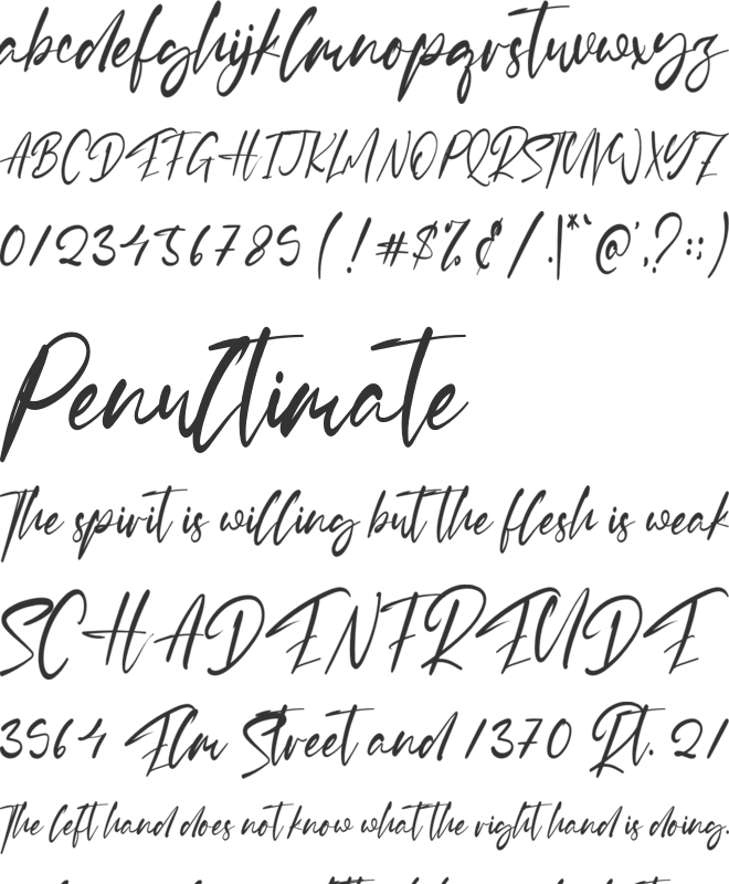 Jordan Lewis font preview