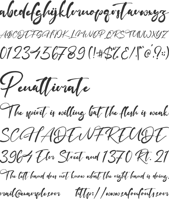 Kingwood font preview