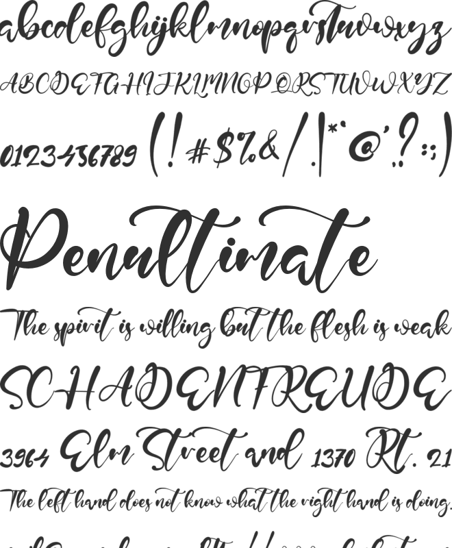 Twister Script font preview