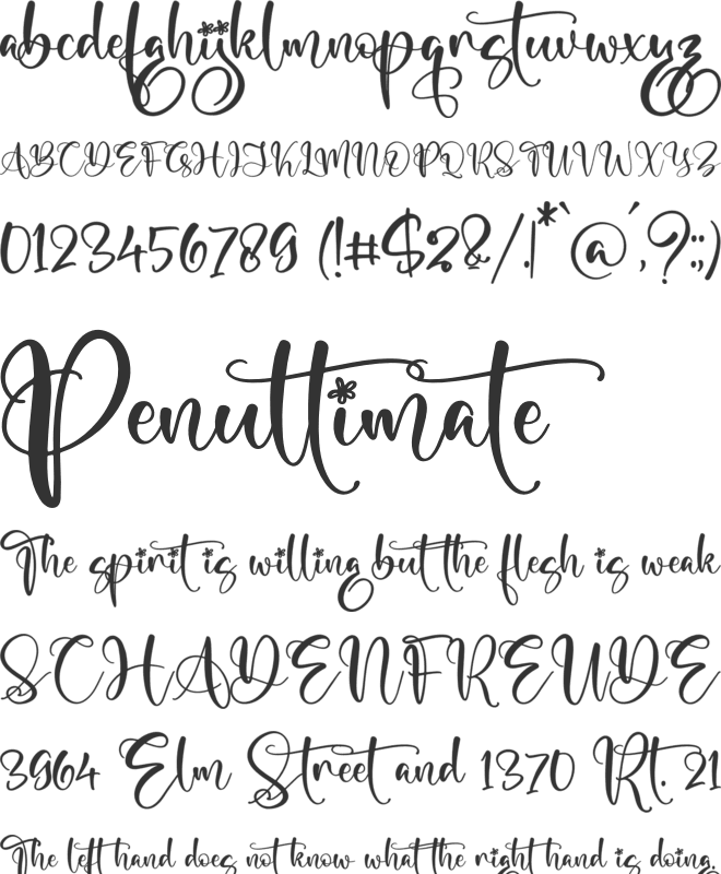 Marliana Alisha font preview