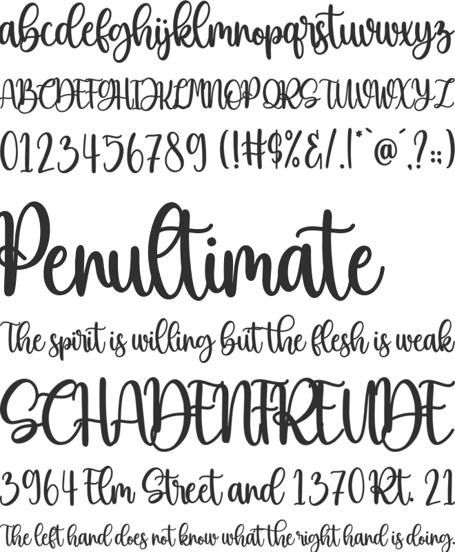 Beauty Christmas font preview