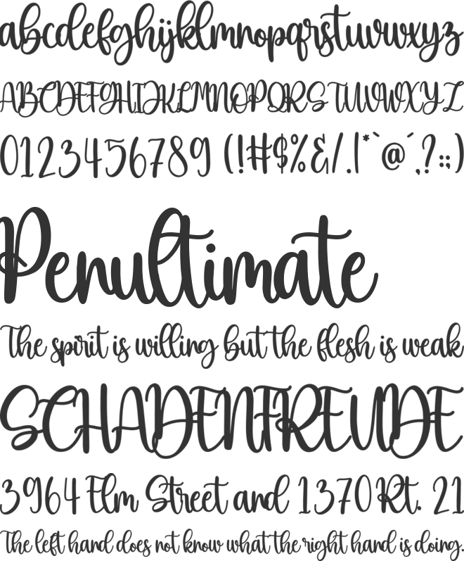 Beauty Christmas font preview