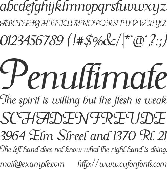 Flashgude font preview
