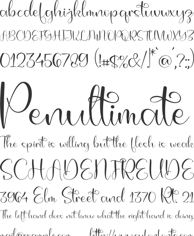 Chikha font preview