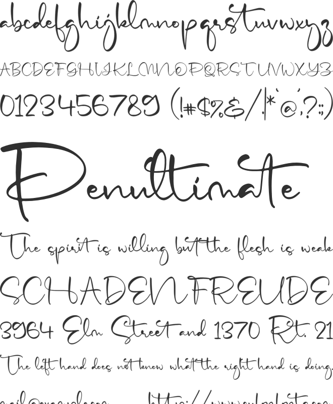 Mytchell Trujillo font preview