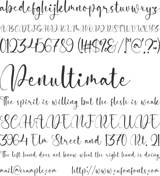 Musiclife font preview