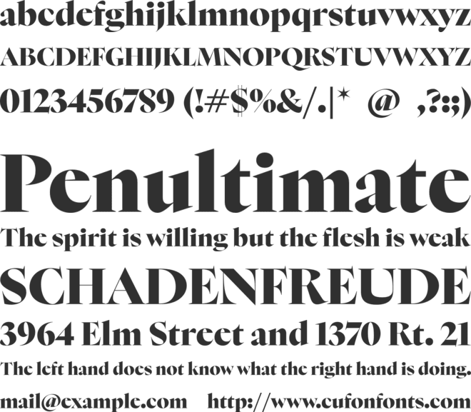 Nyght Serif font preview