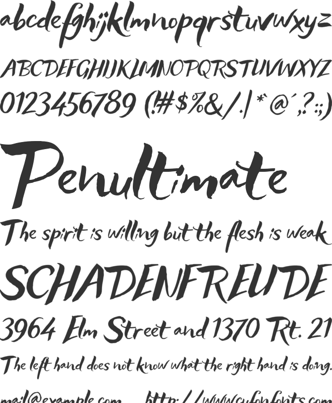 Lifetime Font font preview