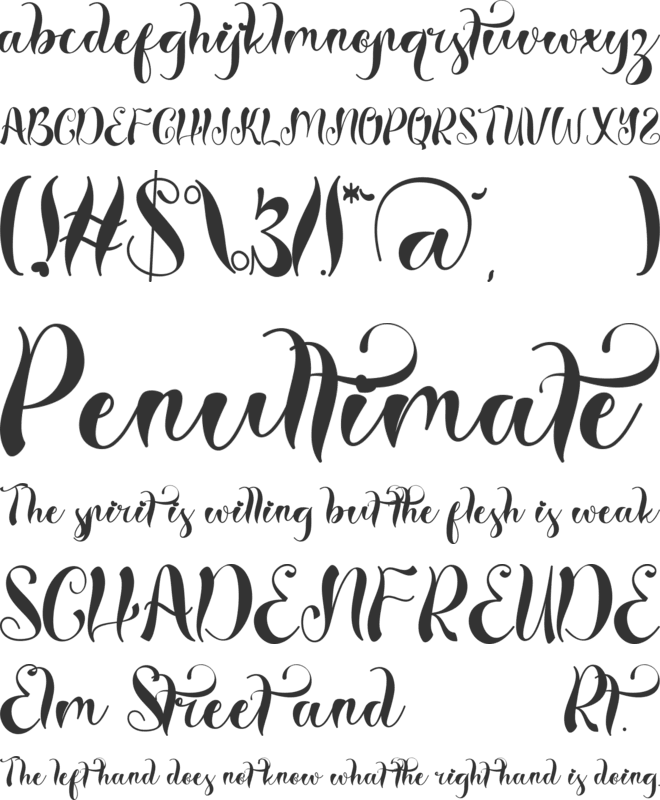 Christmas Celebration font preview