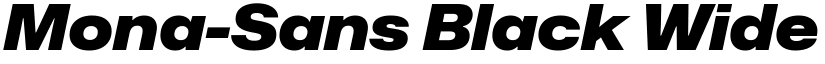 Mona-Sans Black Wide Italic font