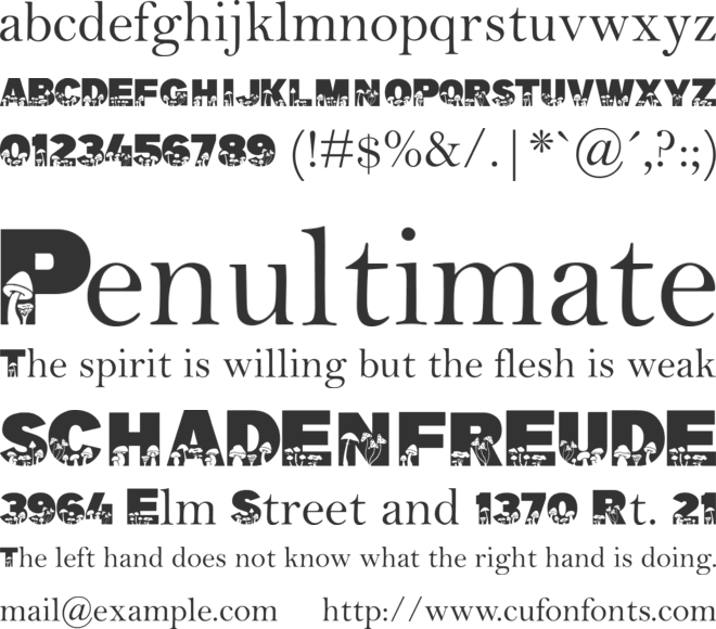 Fungi font preview