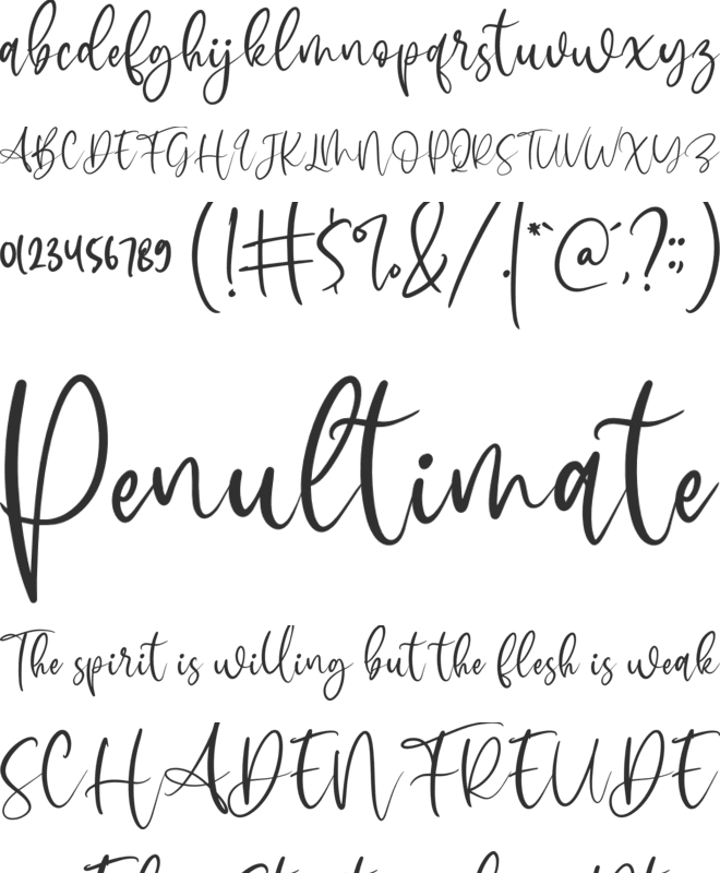 Sophitta font preview